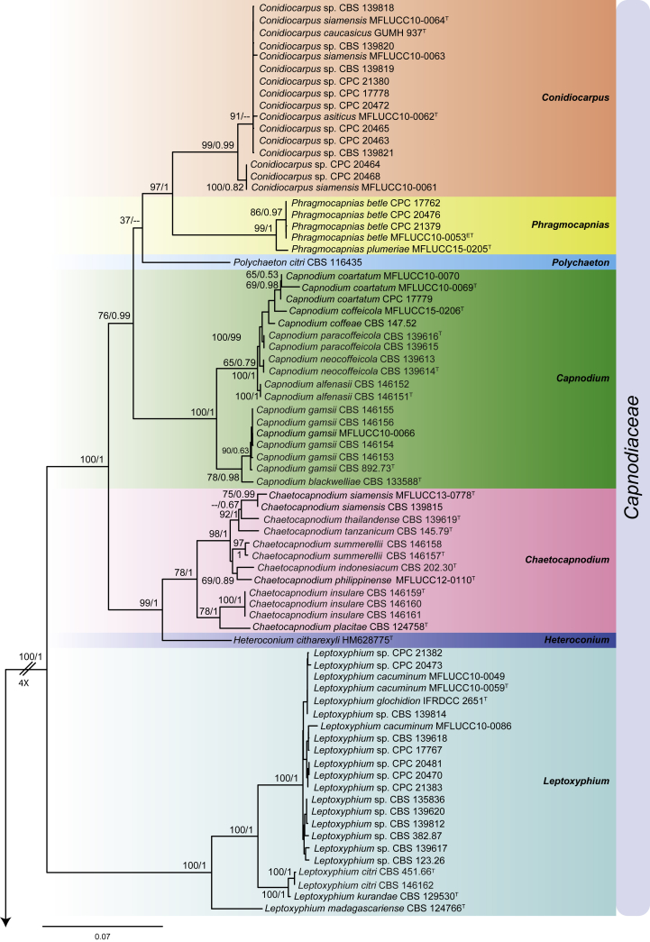 Fig. 2