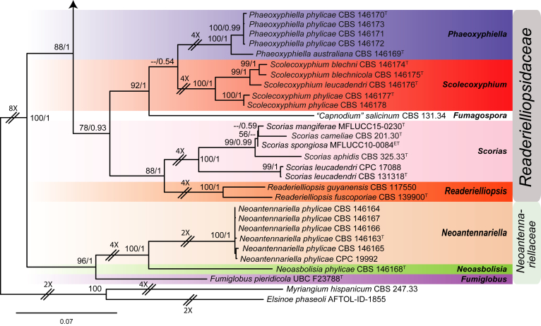 Fig. 2