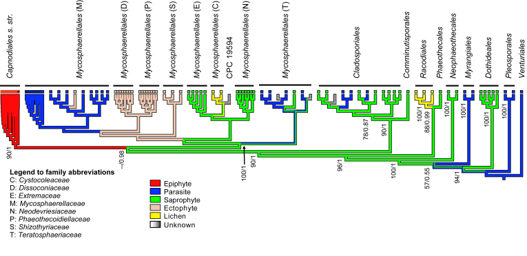 Fig. 3