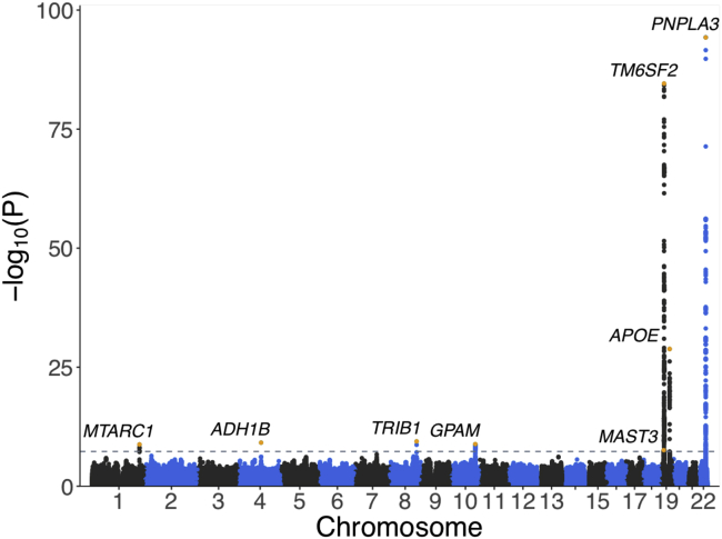 Figure 3