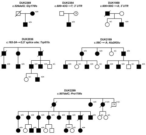 Figure  2. 