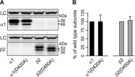 FIGURE 9.