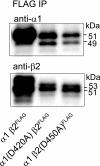 FIGURE 11.
