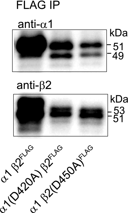 FIGURE 11.