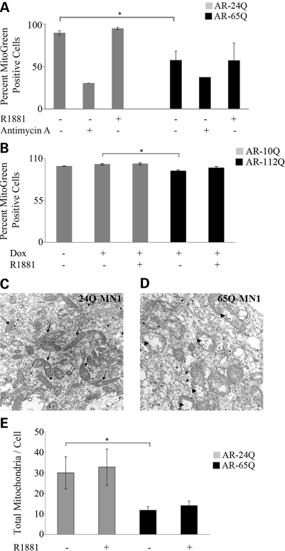 Figure 2.