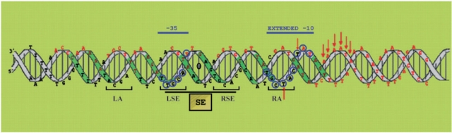 Figure 8.