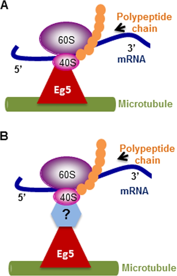 FIGURE 6: