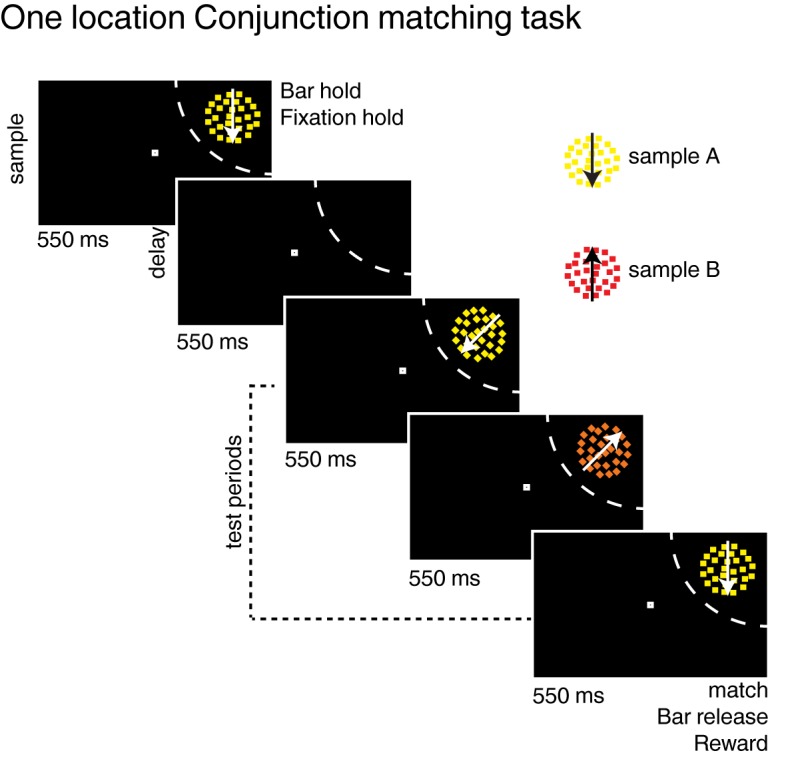 Figure 1—figure supplement 1.