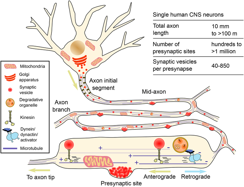 Fig. 0.