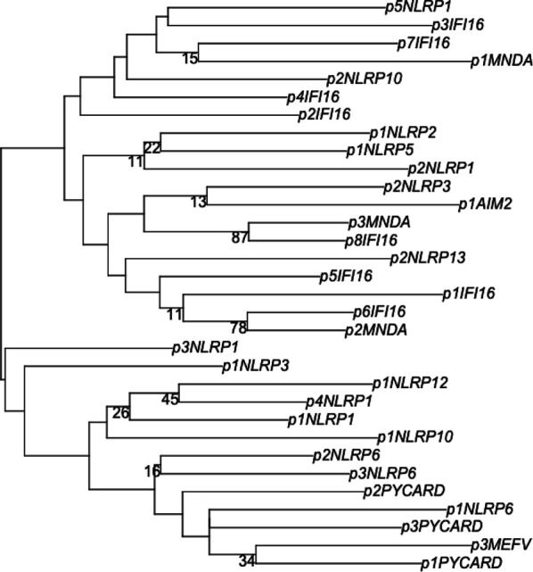 Figure S1.