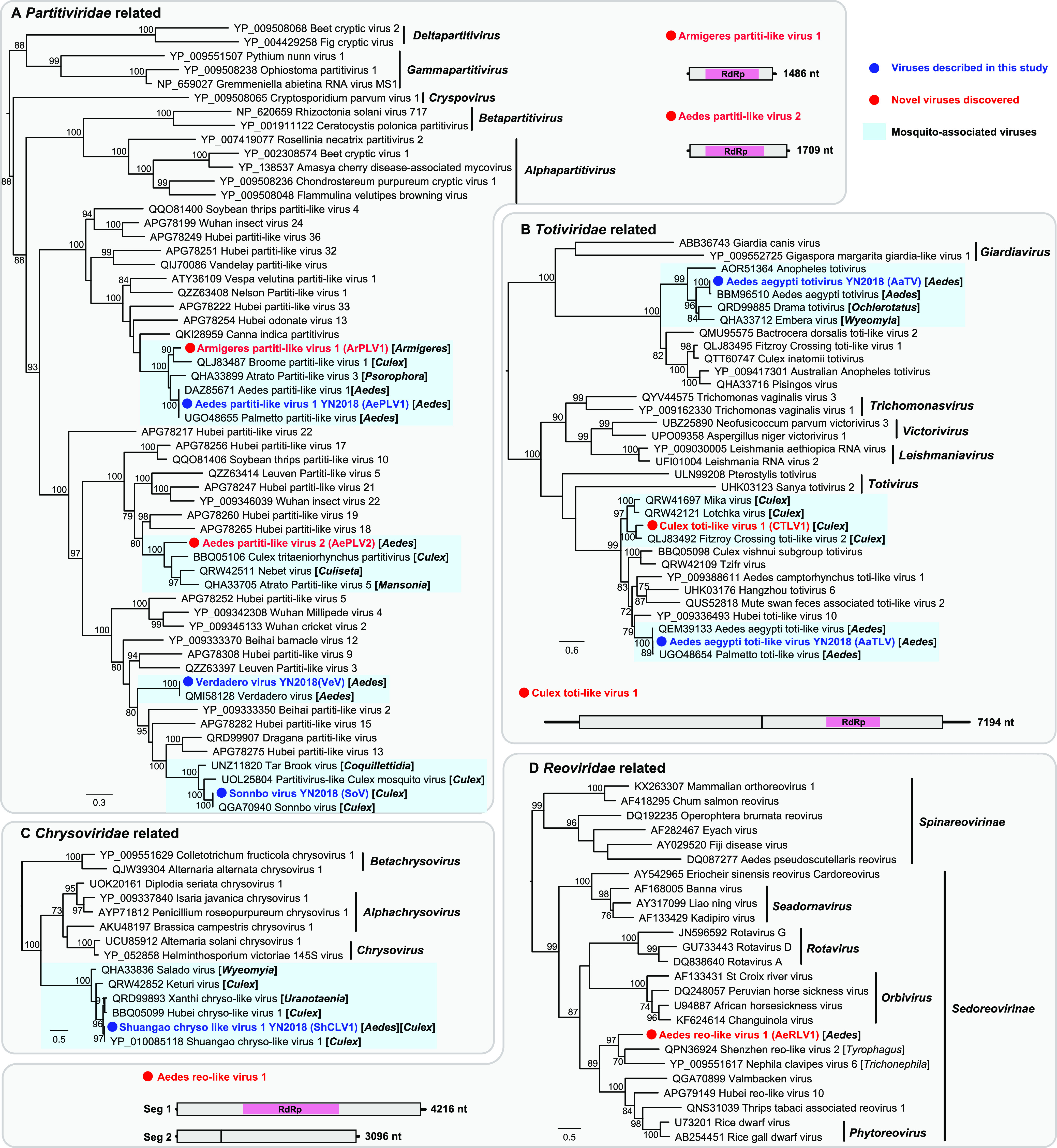 FIG 2