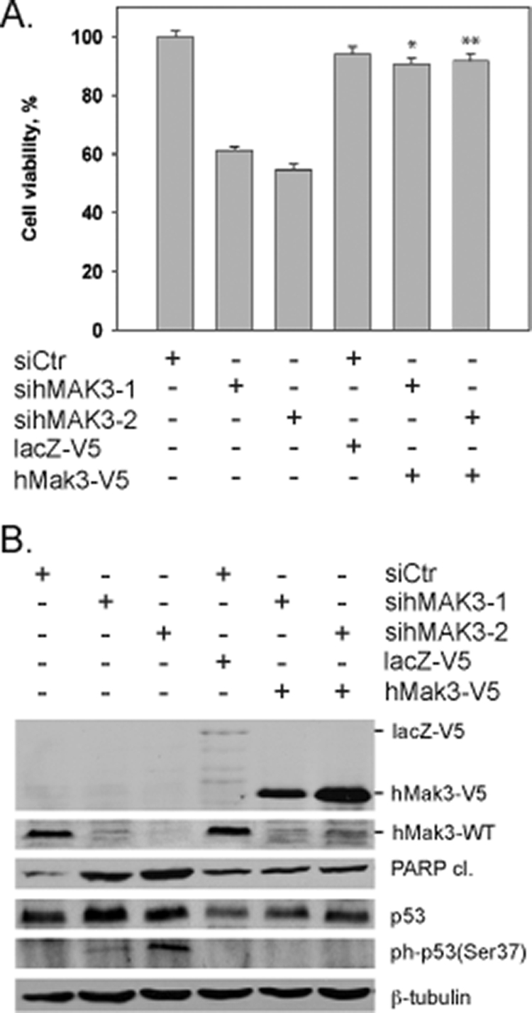 FIG. 9.