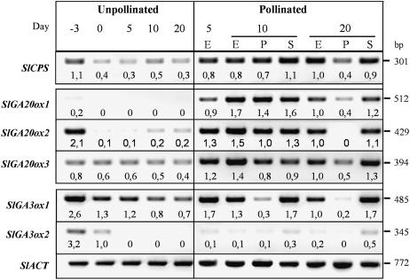 Figure 4.