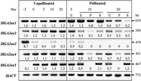 Figure 7.