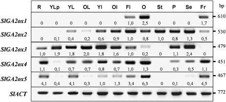 Figure 6.