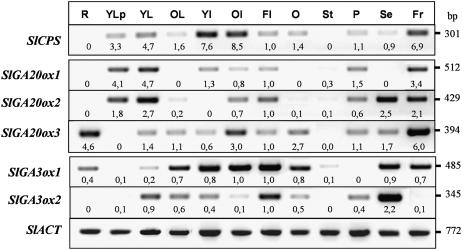 Figure 3.