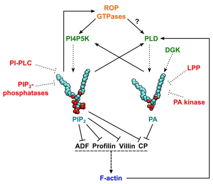 FIGURE 1