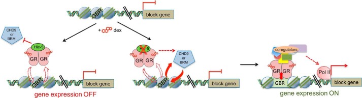 Figure 7.