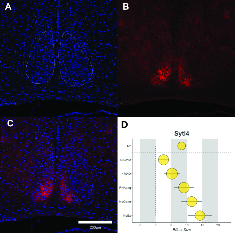 Figure 3.