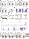 Figure 2—figure supplement 1.