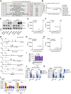 Figure 5—figure supplement 1.