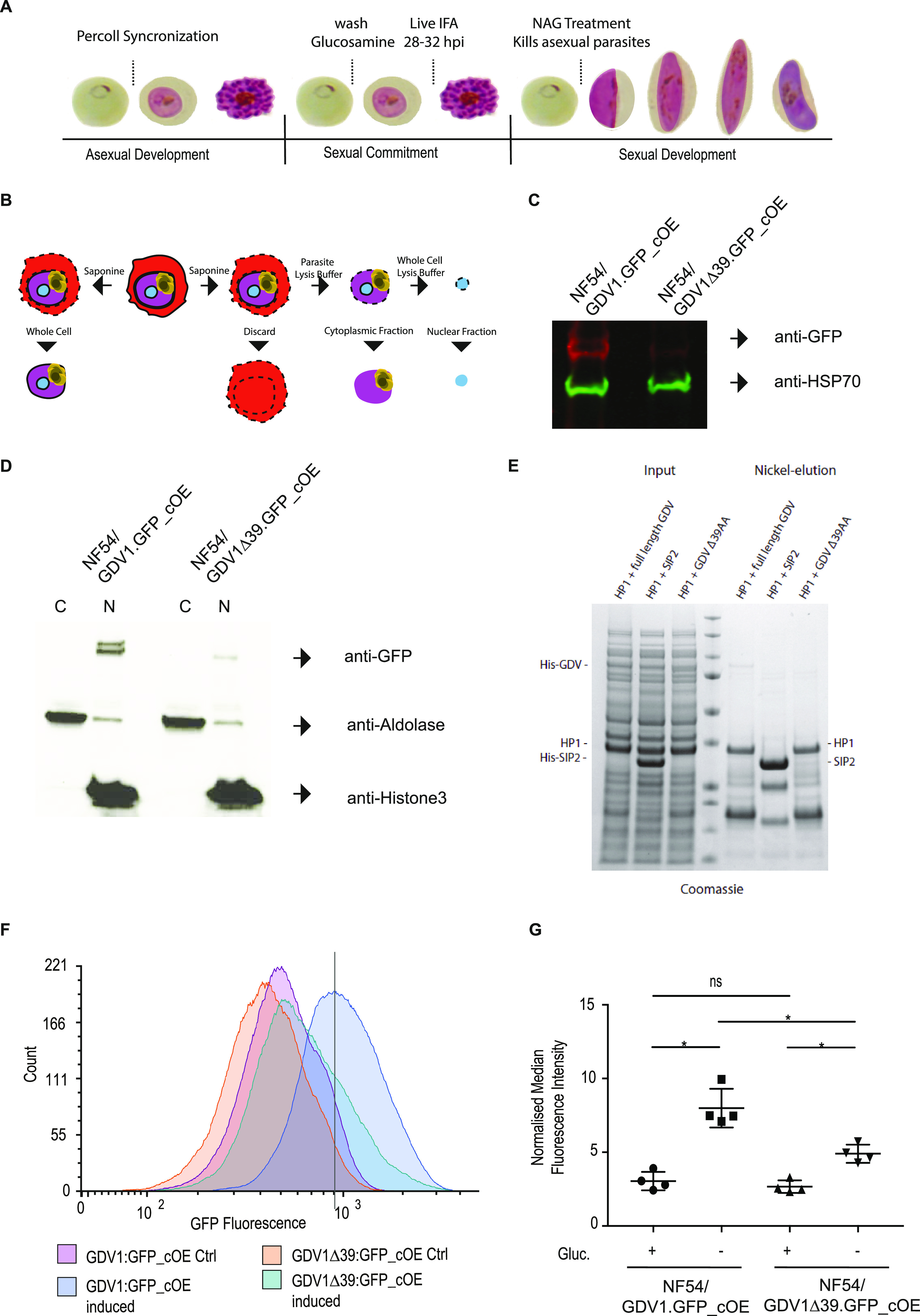 FIG 4