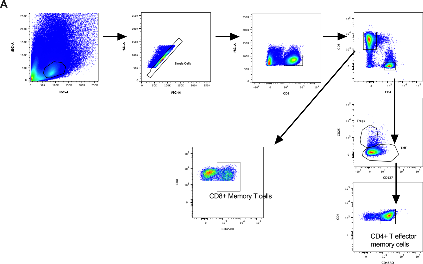 Figure 4: