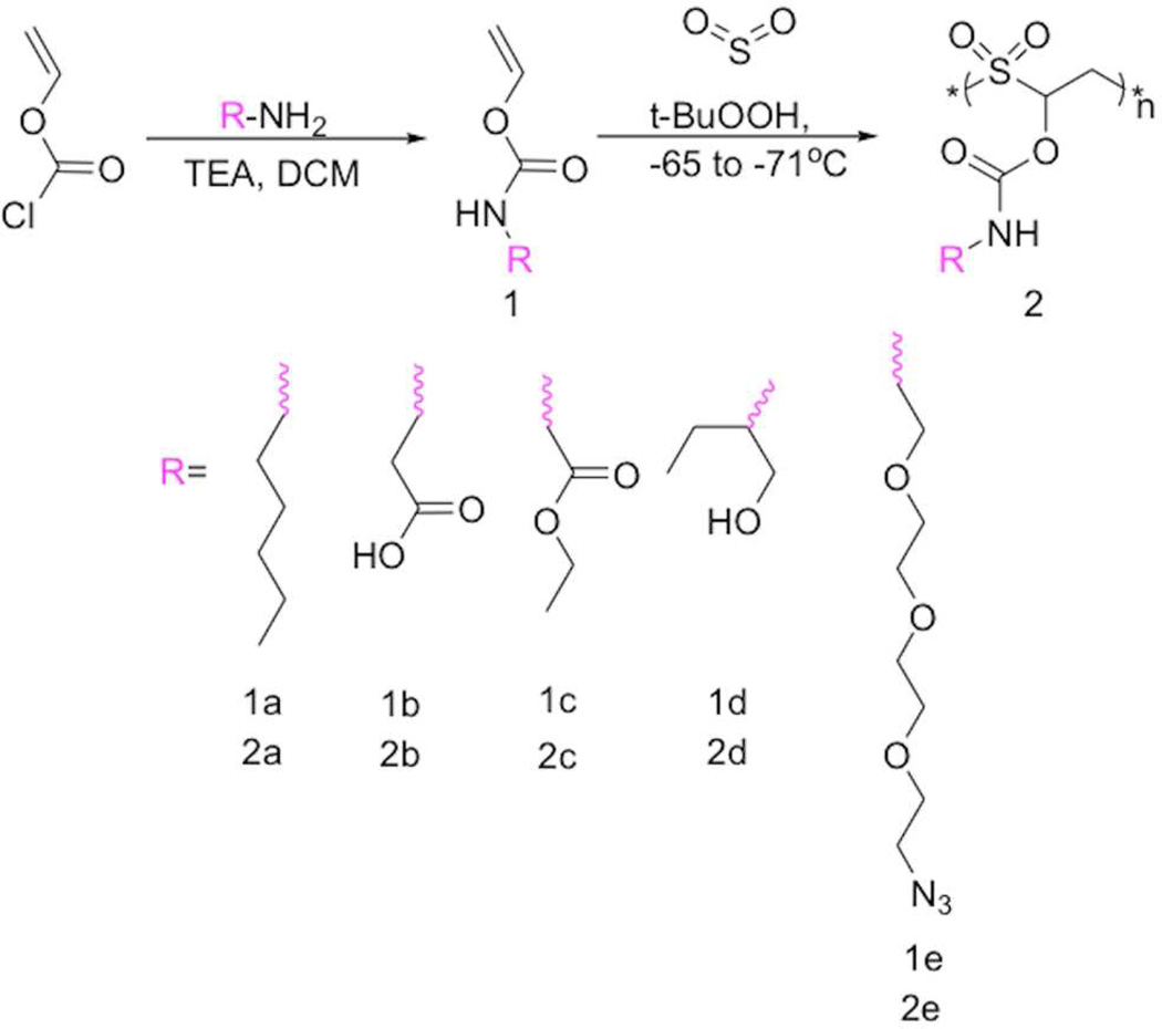 Scheme 1