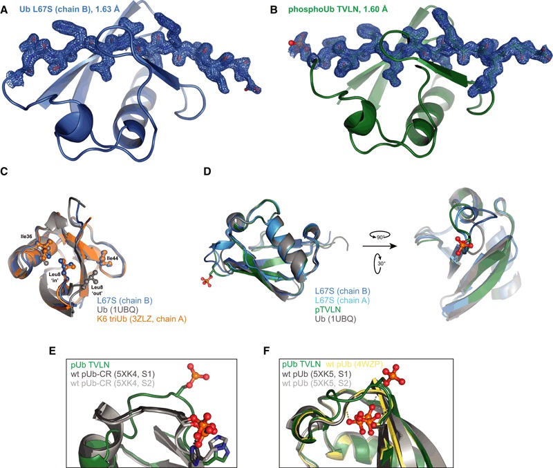 Figure EV3