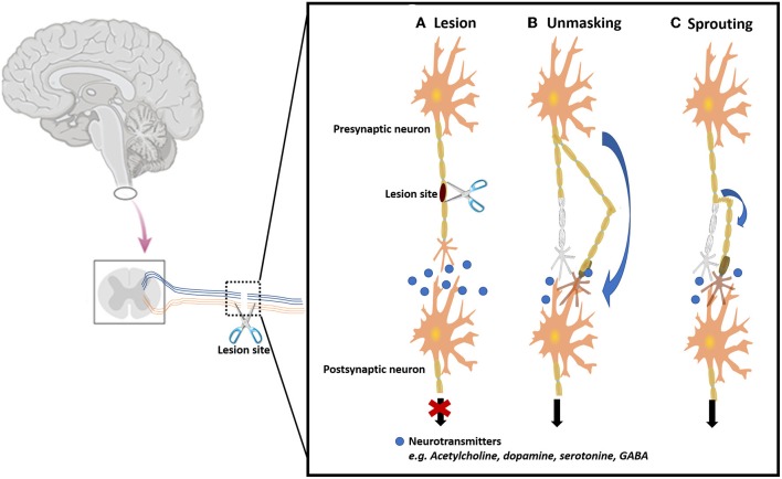 Figure 10