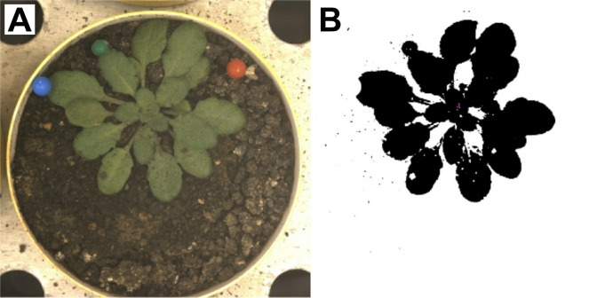 Figure 4.