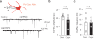 Figure 3—figure supplement 4.