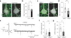 Figure 3—figure supplement 3.