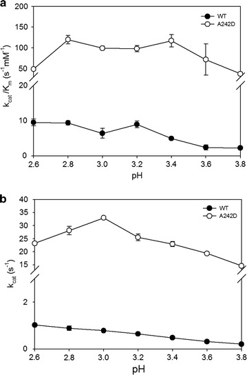 Fig. 5