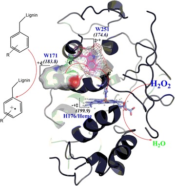 Fig. 2