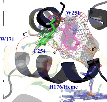 Fig. 7