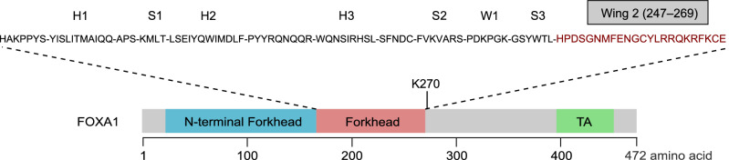 Figure 2