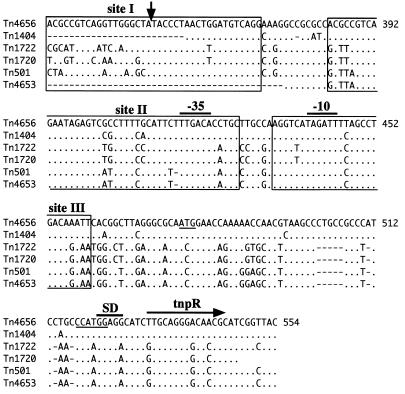 FIG. 7