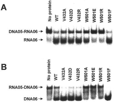 FIG. 8.