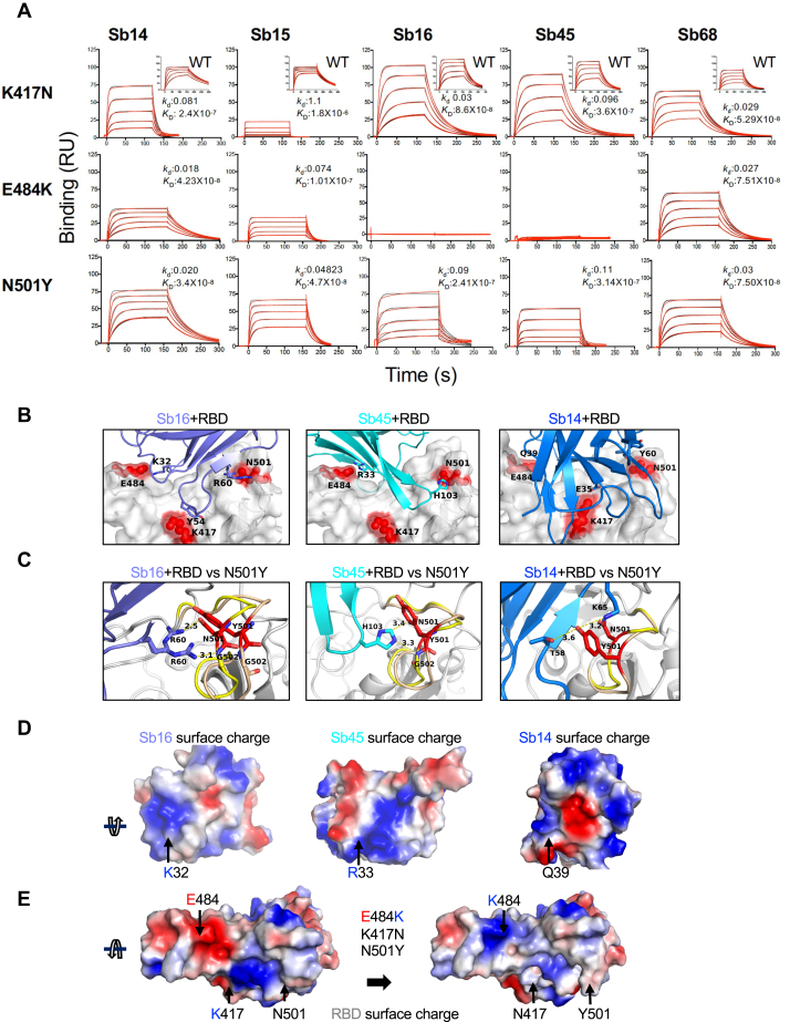 Figure 6