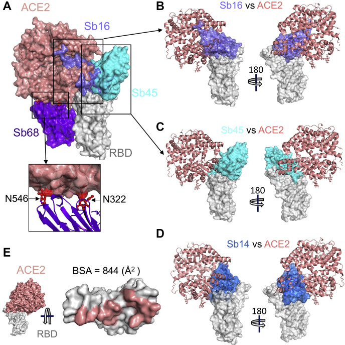 Figure 4