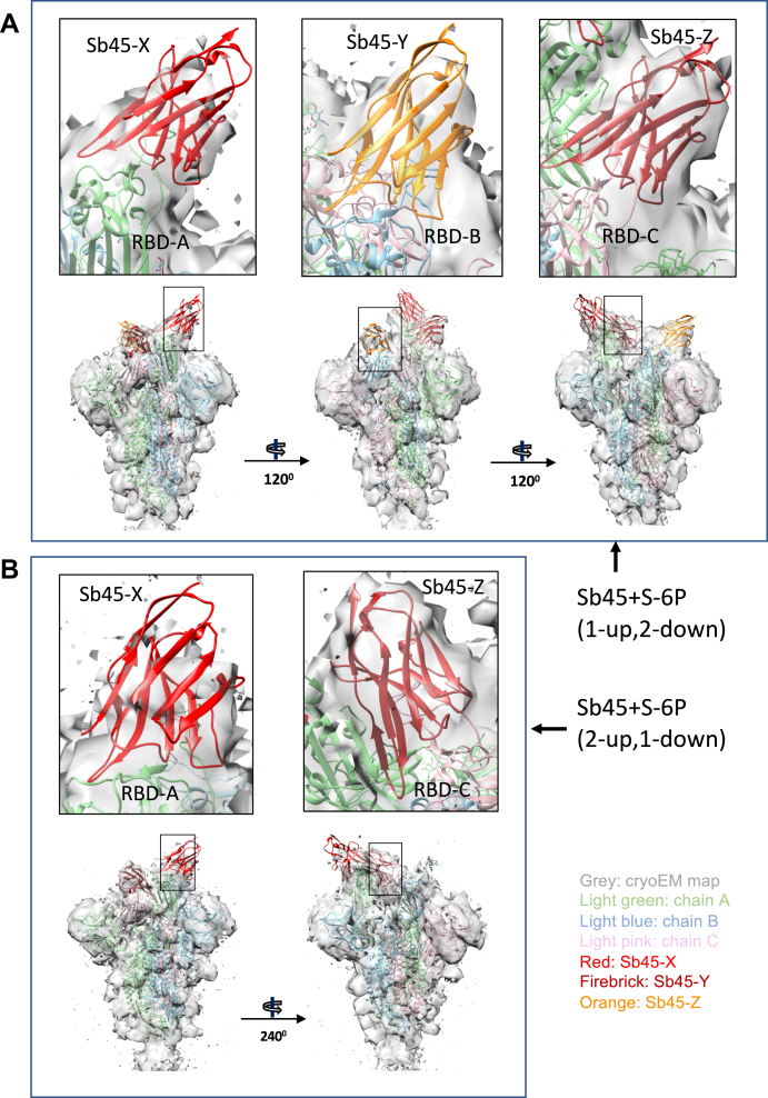 Figure 5