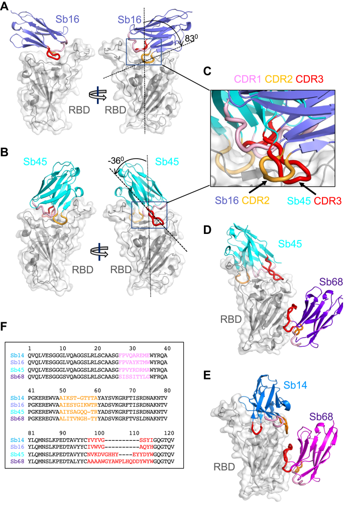 Figure 2