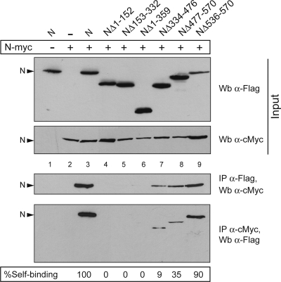 FIG. 7.