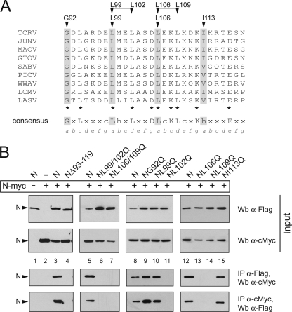 FIG. 8.