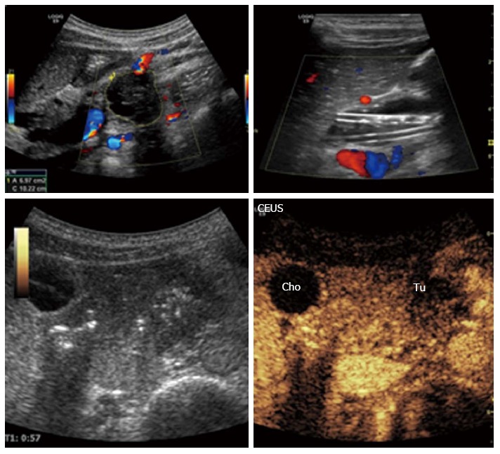 Figure 12
