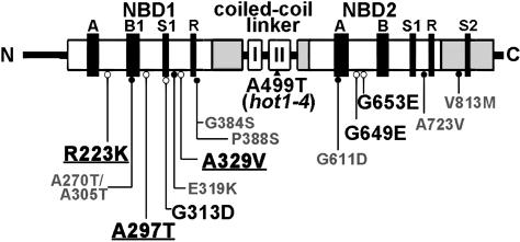 Figure 4.