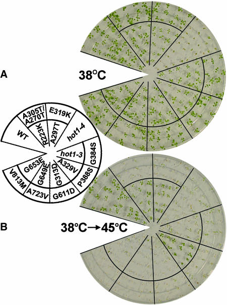 Figure 5.