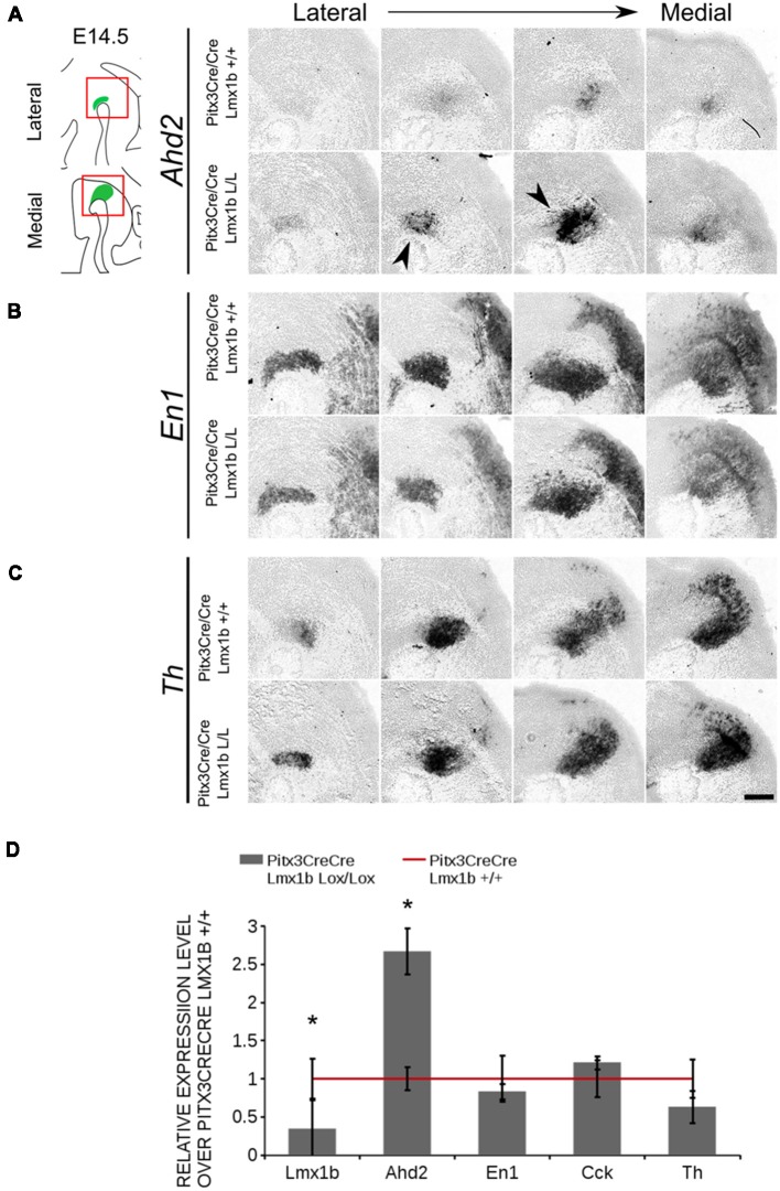 Figure 10