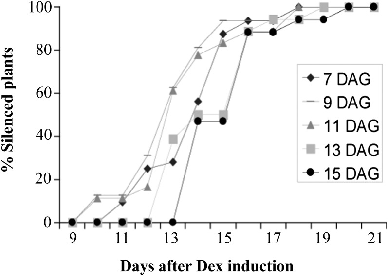 Figure 5.